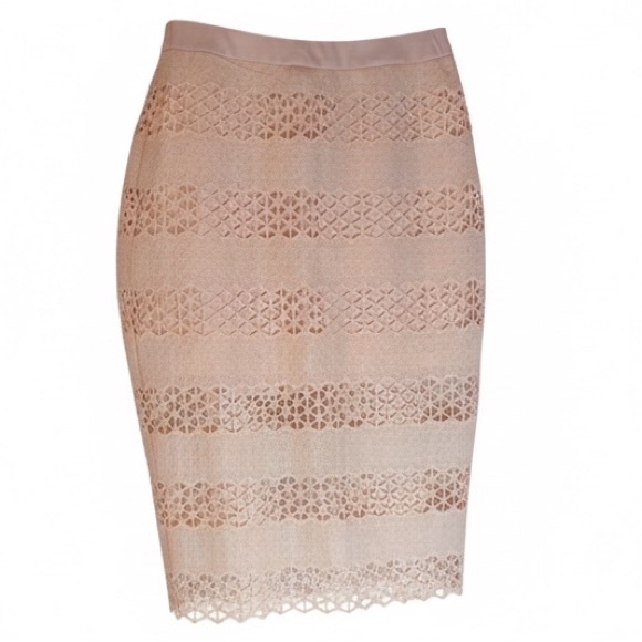 Astr Dresses & Skirts - ASTR the Label Blush Pink Lattice Lace Pencil Skirt Medium